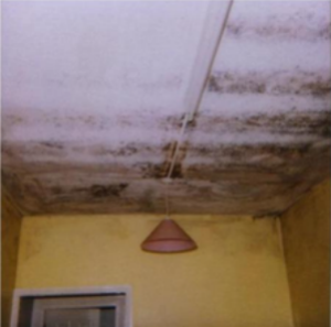 Mould on Ceiling